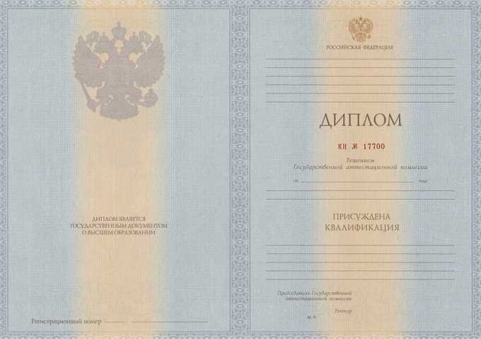 Диплом специалиста 2011-2013 год