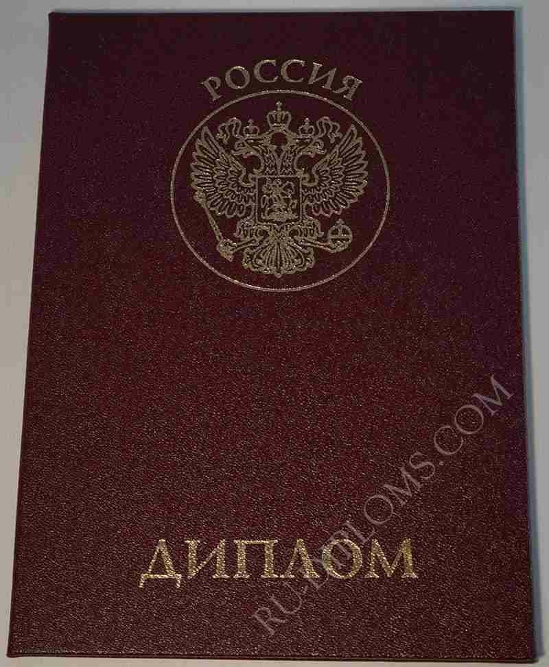Диплом о переподготовке 2010 года  Диплом о переподготовке 2010 года