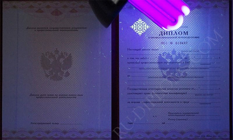 Диплом о переподготовке 2010 года  Диплом о переподготовке 2010 года