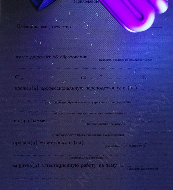 Диплом о переподготовке 2010 года  Диплом о переподготовке 2010 года