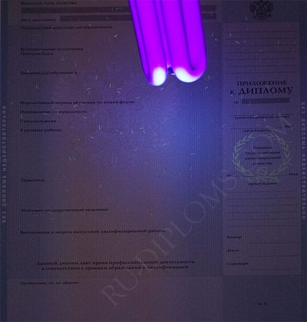 Диплом бакалавра 2010-2013 год   Диплом бакалавра 2010-2013 год