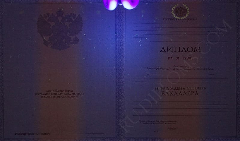 Диплом бакалавра 2010-2013 год   Диплом бакалавра 2010-2013 год